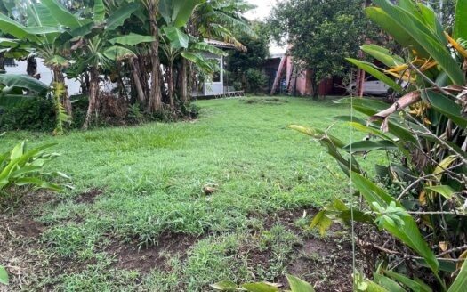 Lote Comercial en Alquiler – David, Chiriquí – MLS 22897