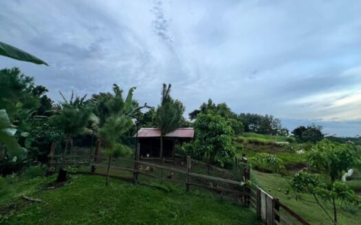 SE VENDE FINCA AGRICOLA EN CAPIRA – MLS 22910