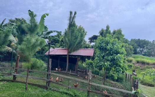 SE VENDE FINCA AGRICOLA EN CAPIRA – MLS 22910