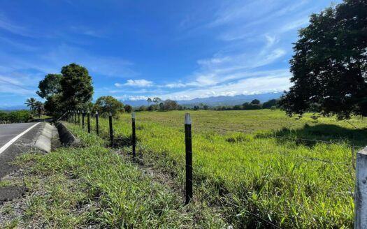 VENTA TERRENO EN MONTE LIRIO, RENACIMIENTO CHIRIQUI – MLS 22917
