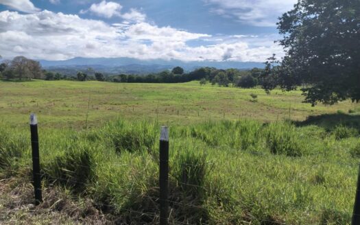 VENTA TERRENO EN MONTE LIRIO, RENACIMIENTO CHIRIQUI – MLS 22917