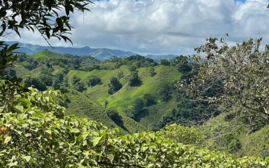 VENTA FINCA LA PRIMAVERA DE 98.4HA_GUAVITO, BUGABA CHIRIQUÍ – MLS 22916