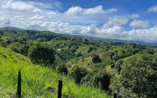 VENTA FINCA LA PRIMAVERA DE 98.4HA_GUAVITO, BUGABA CHIRIQUÍ – MLS 22916