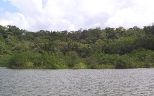 Venta de Terreno cerca del Lago Gatún – MLS 22915