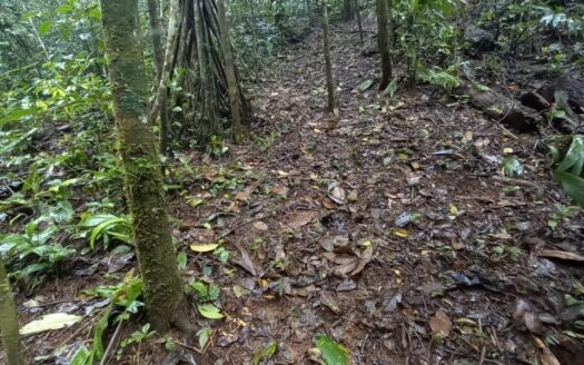 Venta de Finca en Cerro Azul, Pacora – MLS 22937