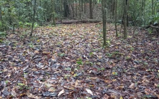 Venta de Finca en Cerro Azul, Pacora – MLS 22937