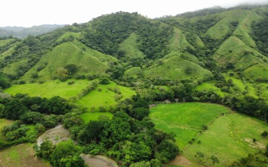 Finca de 90 Hectareas de Buena Ubicación en Cambutal, Los Santos – MLS 21755