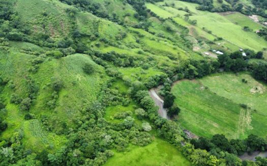 Finca de 90 Hectareas de Buena Ubicación en Cambutal, Los Santos – MLS 21755
