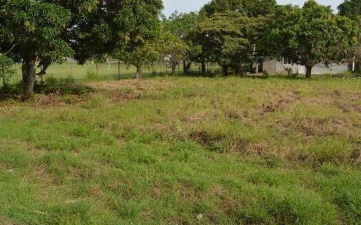 Venta de Lote en Coloncito cerca Gorgona Beach Plaza – MLS 22958