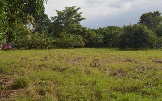 Venta de Lote en Coloncito cerca Gorgona Beach Plaza – MLS 22958