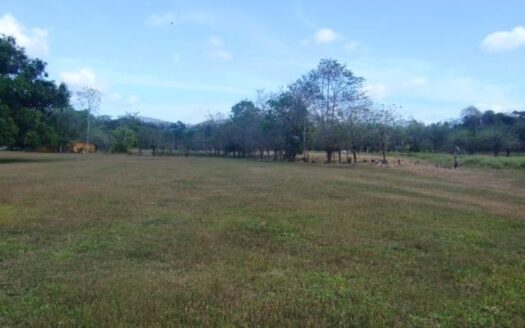 Venta de finca en la mesa de San Martín, Pacora. – MLS 22527