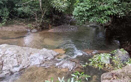 Venta de Finca – Quebrada Grande, Los Santos – MLS 22836
