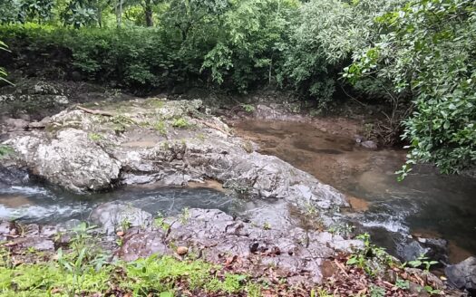 Venta de Finca – Quebrada Grande, Los Santos – MLS 22836