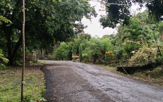 Venta de Finca – Quebrada Grande, Los Santos – MLS 22836