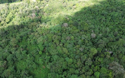 Lote de 24 Acres en Venta en Potrerillos Arriba – MLS 21747