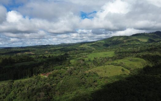 Lote de 24 Acres en Venta en Potrerillos Arriba – MLS 21747