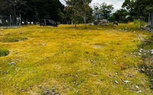 Terreno Plano de 600 m² con Luz, Agua y Vista a Quebrada en Alto Boquete – MLS 22631