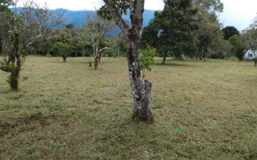 Lote Plano en Venta en Volcancito – MLS 21070