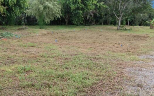Lote Plano en Venta en Volcancito – MLS 21070