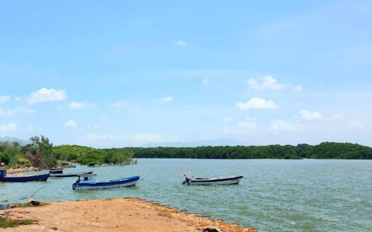 Finca en la Raya de Calobre, Veraguas – MLS 15848