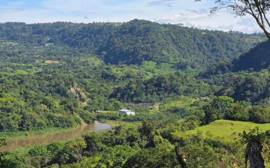 Finca Agrícola en Venta en Caizán, Distrito de Renacimiento – MLS 22999