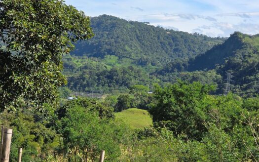 Finca Agrícola en Venta en Caizán, Distrito de Renacimiento – MLS 22999