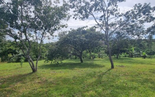 Casa de Campo y Finca en La Ermita – MLS 21192