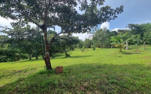 Casa de Campo y Finca en La Ermita – MLS 21192
