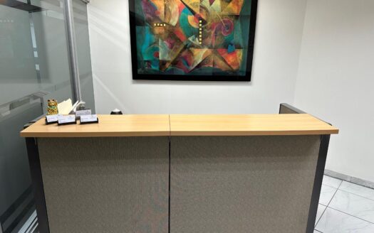 Se venden excelentes oficinas en el área bancaria – MLS 19445