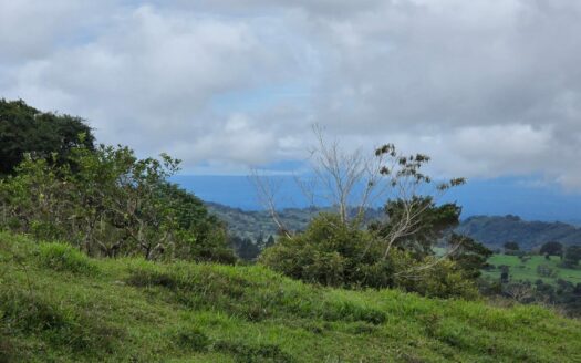 Lotes de Montaña en venta en Cordillera Arriba, Chiriqui – MLS 23009