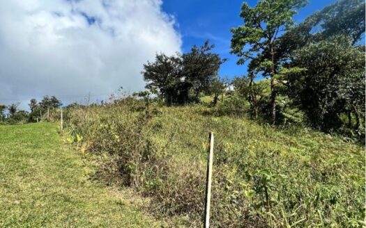 Altos del María – Lote de Terreno El León – MLS 23006