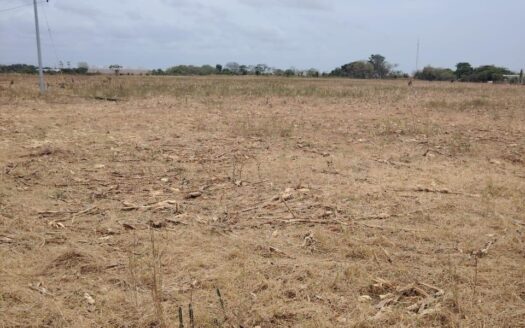 Terreno para desarrollo de Proyecto Hotelero Residencial. – MLS 23067