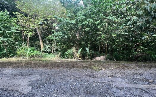 Lote en Altos del María – Picacho – MLS 23072