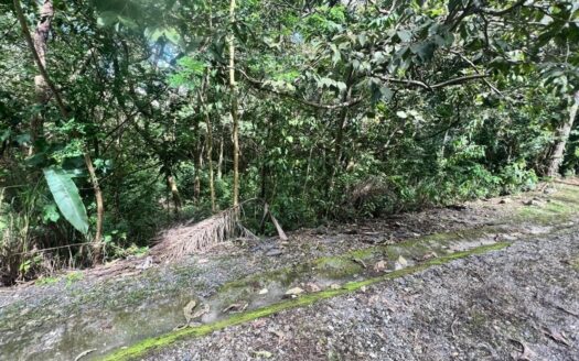 Lote en Altos del María – Picacho – MLS 23072