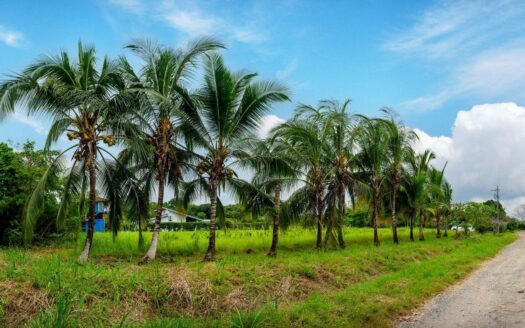 Lote de 1,500 m² en Las Lajas San Félix Panamá – MLS 23096