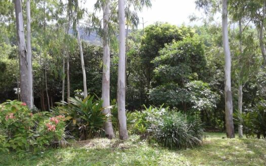 Increíble propiedad en venta con cascadas privadas – MLS 23107