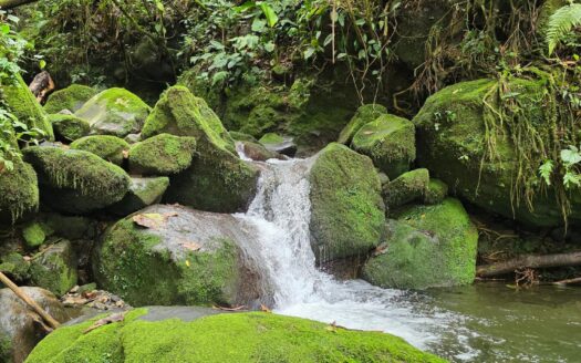 Lotes rurales en Venta en Cordillera Arriba, Chiriquí – Lotes Eco-Agrícolas – MLS 23103