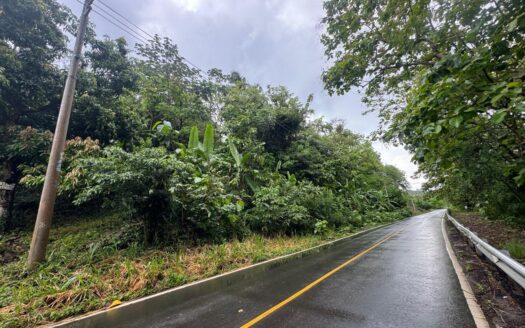 TERRENO CON VISTA A LAS MONTAÑAS EN BUENOS AIRES VIA SORA – MLS 23121