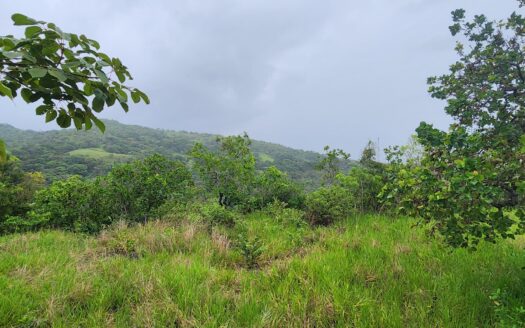 Lote de 6.000 m2 en venta en Caldera – MLS 22780