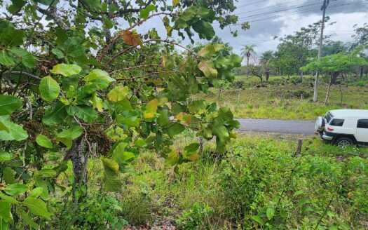 Lote de 6.000 m2 en venta en Caldera – MLS 22780