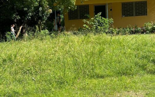 SE VENDE O ALQUILA EDIFICIO CASA GALA UBICADO EN CALIDONIA, FRENTE A NOVEY – MLS 22870
