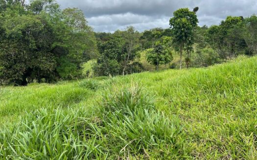 En venta finca de 4.5 hectáreas en Bugaba Chiriquí – MLS 22022