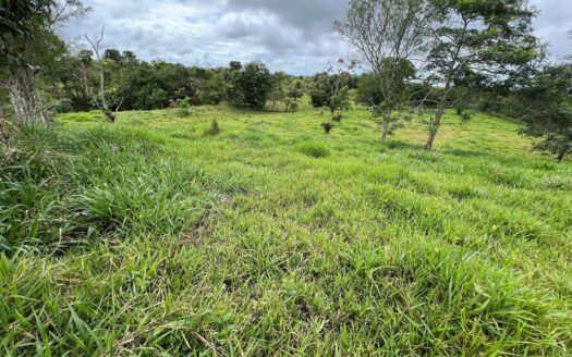 En venta finca de 4.5 hectáreas en Bugaba Chiriquí – MLS 22022