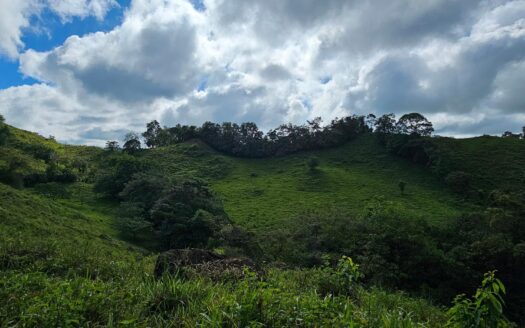 En venta finca de 15.6 hectáreas, Volcán Chiriquí – MLS 22023