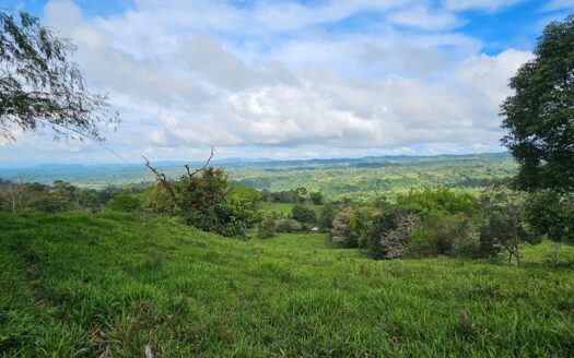 En venta finca de 15.6 hectáreas, Volcán Chiriquí – MLS 22023