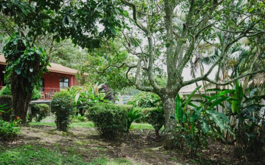 Casa Natalia, Edificio en Casco Viejo – MLS 21971
