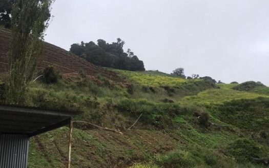 OPORTUNIDAD DE ORO – GRAN PROPIEDAD DE 20 ACRES – MLS 17546
