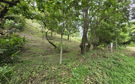 LOTE CÉNTRICO CON 2 ESTUDIOS EN ALQUILER – MLS 20070