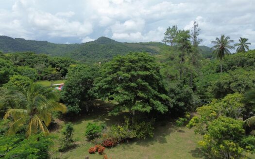 Finca con árboles frutales, pequeña casa de campo – MLS 23389