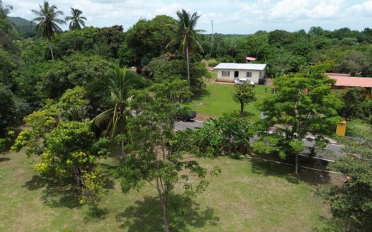 Finca con árboles frutales, pequeña casa de campo – MLS 23389